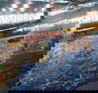 Oasis Regional Aquatic Centre - Find Attractions