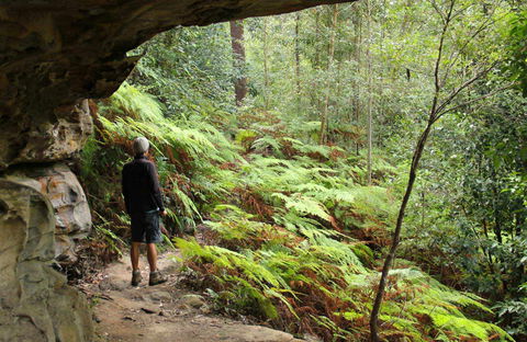 Old Great North Road Bike Ride - Find Attractions 0