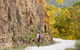 Old Great North Road - World Heritage Walk - thumb 0