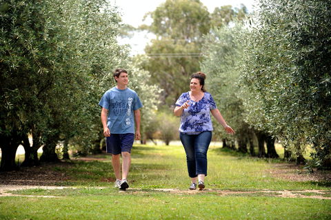 Olives Of Beaulieu - Find Attractions 0