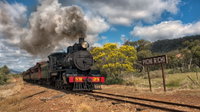 Pichi Richi Railway