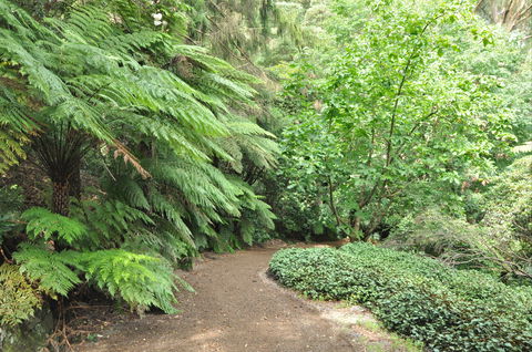 Pirianda Gardens - Find Attractions 0