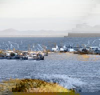 Portarlington - Find Attractions
