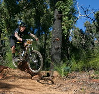 Scorpion Trail Kalamunda Mountain Bike Trails - Find Attractions