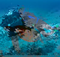 Second Reef Dive Site - Find Attractions