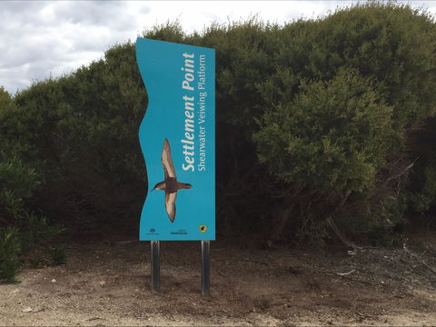 Settlement Point Viewing Platform - Find Attractions 2
