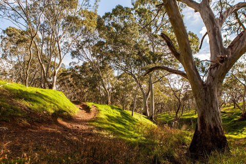 Shepherds Hill Recreation Park - Find Attractions 1