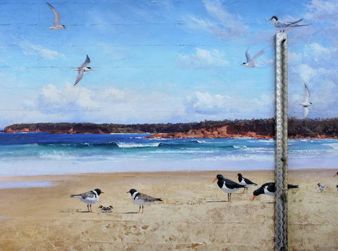 Shoalhaven Toilet Mural Tour - Find Attractions 2