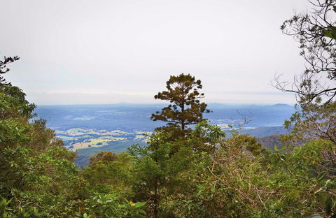 Slingsbys Trail And Syndicate Ridge Track - Find Attractions 0