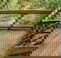 Somersby Falls walking track - Find Attractions