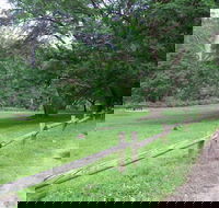 St Albans Reserve - Find Attractions