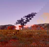Sunrise Viewing Area Talinguru Nyakunytjaku - Find Attractions