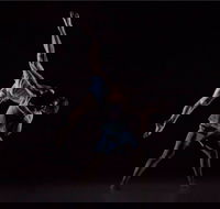 Sydney Dance Company - Find Attractions