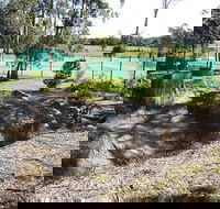Tactical Paintball Games - Find Attractions