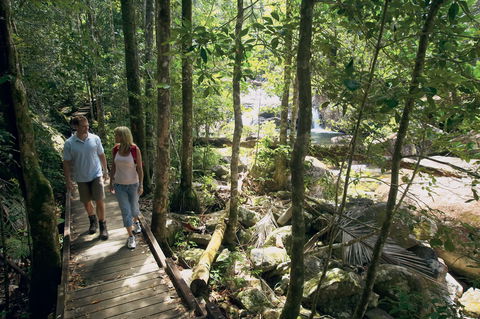 The Pioneer Valley And Eungella National Park - Find Attractions 1