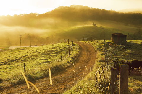 The Pioneer Valley And Eungella National Park - Find Attractions 2