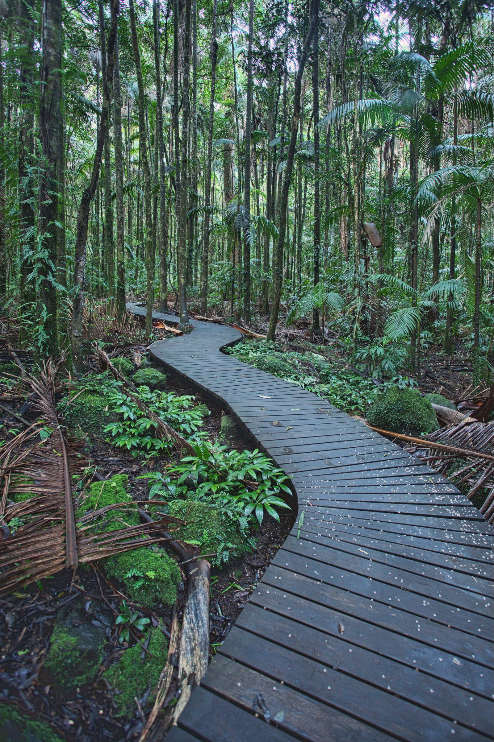 Tucki Tucki NSW Find Attractions