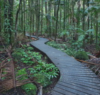 The Channon Protesters Falls Nimbin and Mount Nardi - Find Attractions
