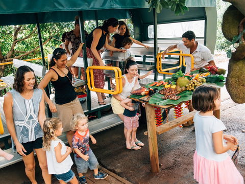 Tropical Fruit World - Find Attractions 2