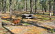 Two Dams Picnic Area - thumb 0