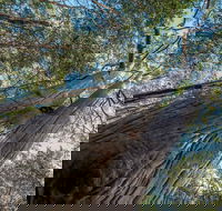 Wallumatta Nature Reserve - Find Attractions