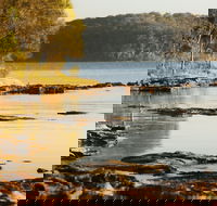 Wangi Wangi - Find Attractions