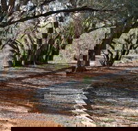 Warrego Floodplain walking track - Find Attractions