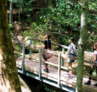 Watagans National Park - Find Attractions