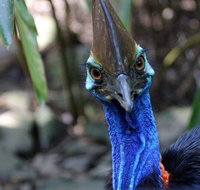 Wildlife Habitat - Find Attractions