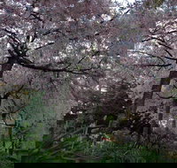 Wildwood Garden - Find Attractions