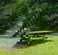 Williams River picnic area - Find Attractions