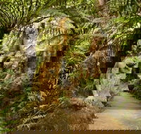 William Ricketts Sanctuary - Find Attractions