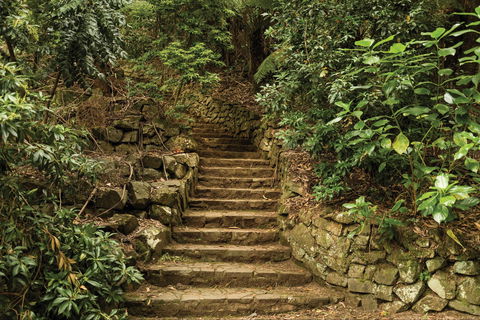 William Ricketts Sanctuary - Find Attractions 1