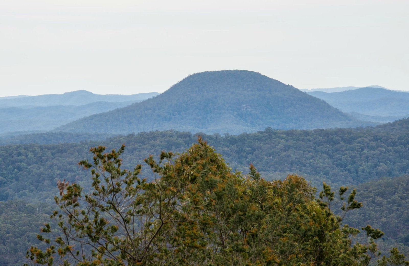 Cessnock NSW Find Attractions