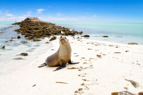 Abrolhos Islands - Find Attractions 0