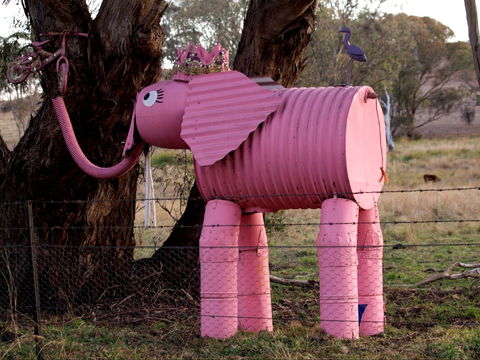 Animals On Bikes - Find Attractions 0