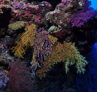 Around The Bend Dive Site - Find Attractions