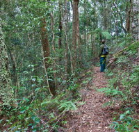 Blackbutt walking track - Find Attractions