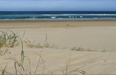 Bongil Beach - Find Attractions 0