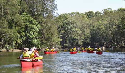 Bonville Creek - Find Attractions 0