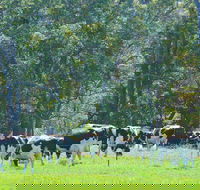 Boyanup - Find Attractions