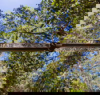 Bribie Island Bicentennial Trails - Find Attractions