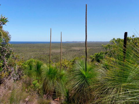 Broadwater National Park - Find Attractions 0