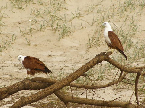 Broadwater National Park - Find Attractions 2