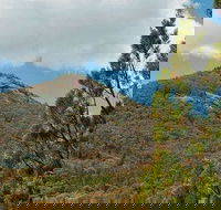 Burrowa-Pine Mountain National Park - Find Attractions