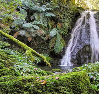 Cascades Walking Track - Find Attractions