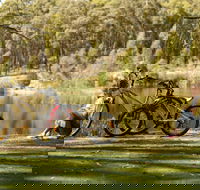 Creswick Regional Park - Find Attractions