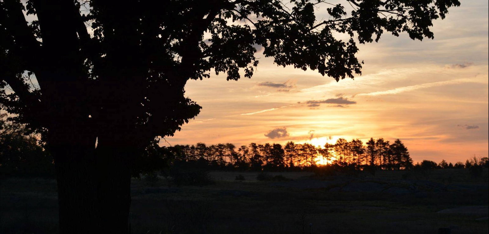 Uralla NSW Find Attractions