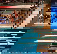 Dive Into History at Sydney Olympic Park Aquatic Centre - Find Attractions