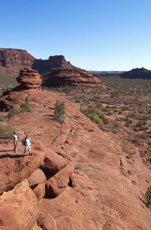 Finke Gorge National Park - Find Attractions 0